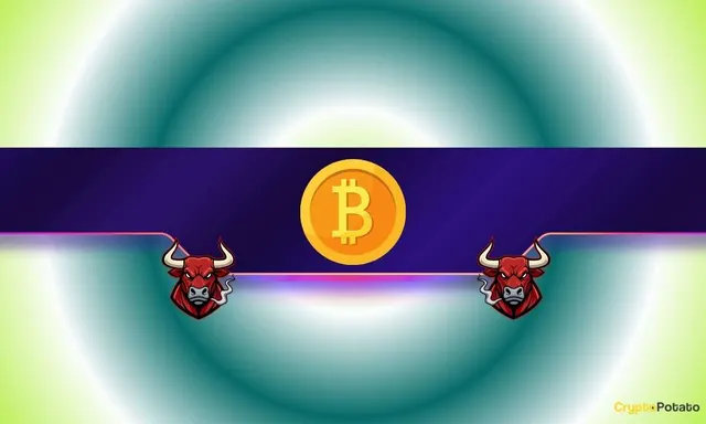 3 Reasons Why Bitcoin (BTC) Could Bounce Back Quickly After the Latest Pullback