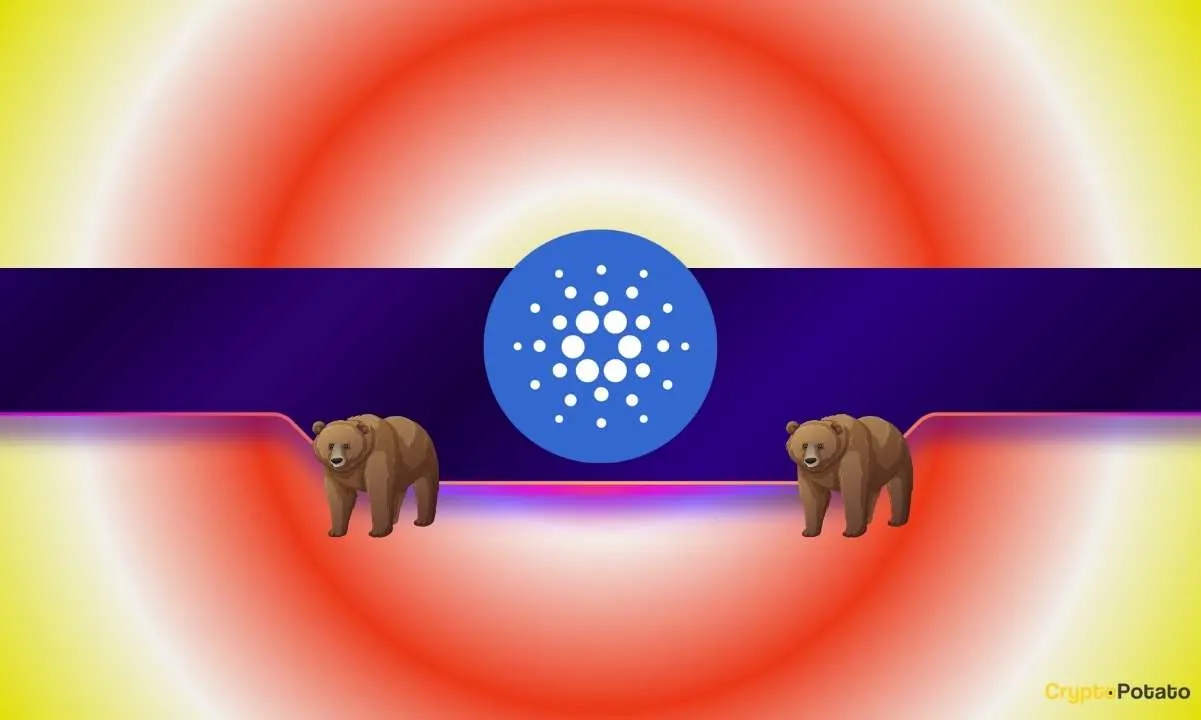 Why Is ADA’s Price Down 8% Today Even as Cardano Whales Wake Up?