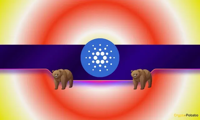 Why Is ADA’s Price Down 8% Today Even as Cardano Whales Wake Up?