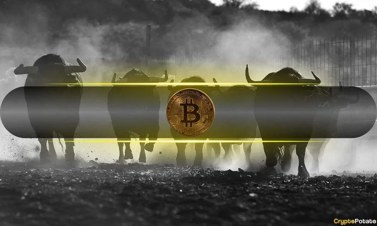 Bitcoin Analysts Are More Bullish Now Than at the Start of the 2023 Bull Market: CryptoQuant