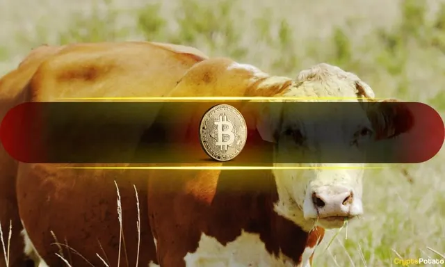 These 5 Bitcoin Indicators Have Turned Bullish for the First Time Since 2025: Report