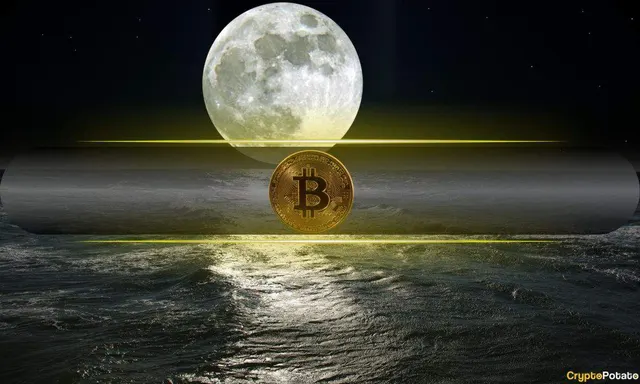 Bitcoin $215K Scenario Emerges as BTC Reclaims Key Market Levels