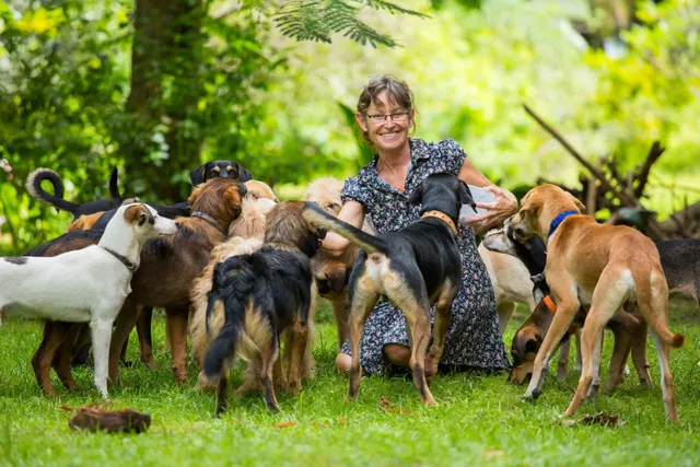 My friend’s pet-sitting business grosses $300,000 a year, but she pays herself $50,000. Should I start one too?
