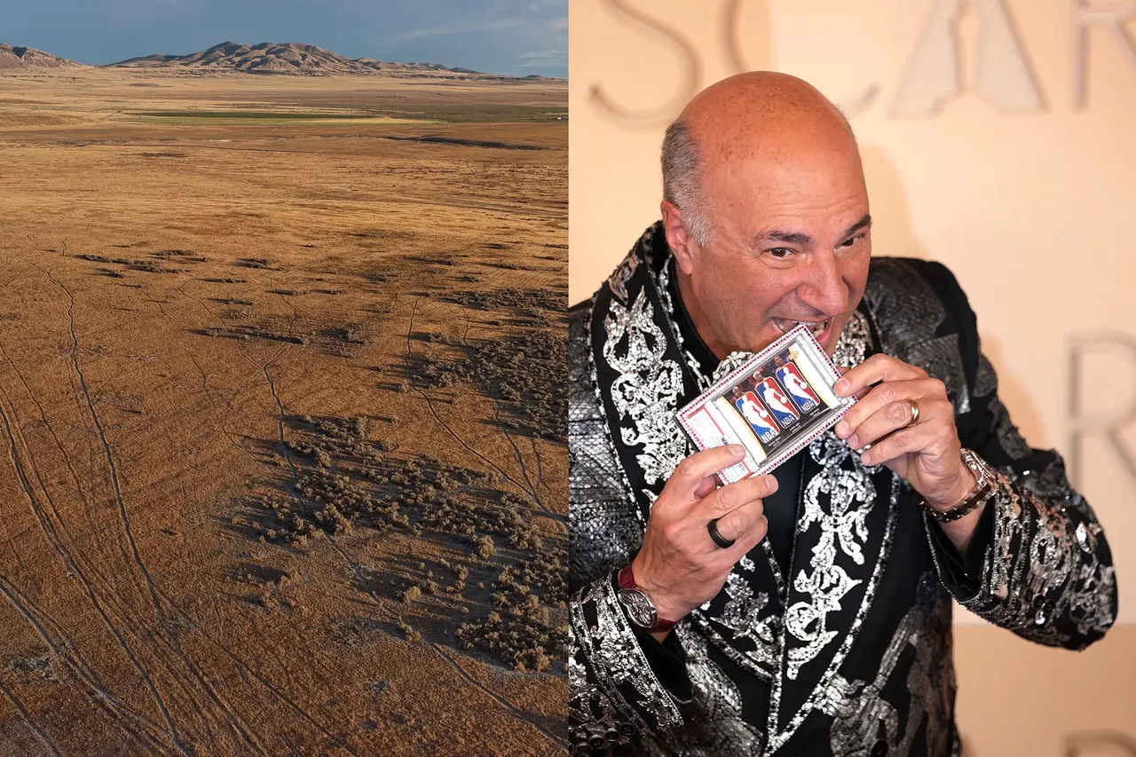 The People of Utah vs. Kevin O’Leary