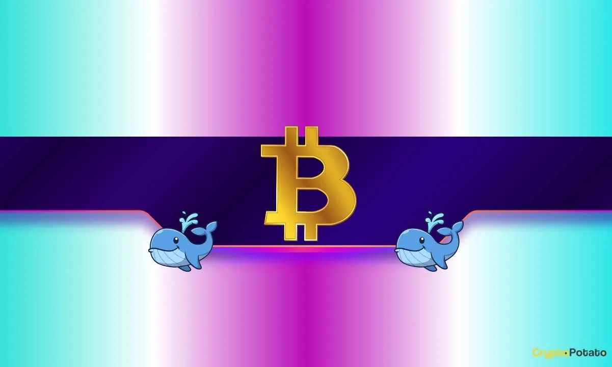 One Whale Lost Nearly $70M in ETH – Another Got Wrecked Long and Short