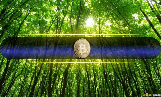 Bitcoin Price Tops $85K as US Core PCE Rises 0.2% MoM, Cooler Than Expected