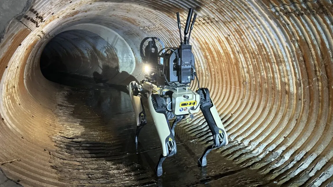 Boston Dynamics employees want to block sale of robot dogs to ICE