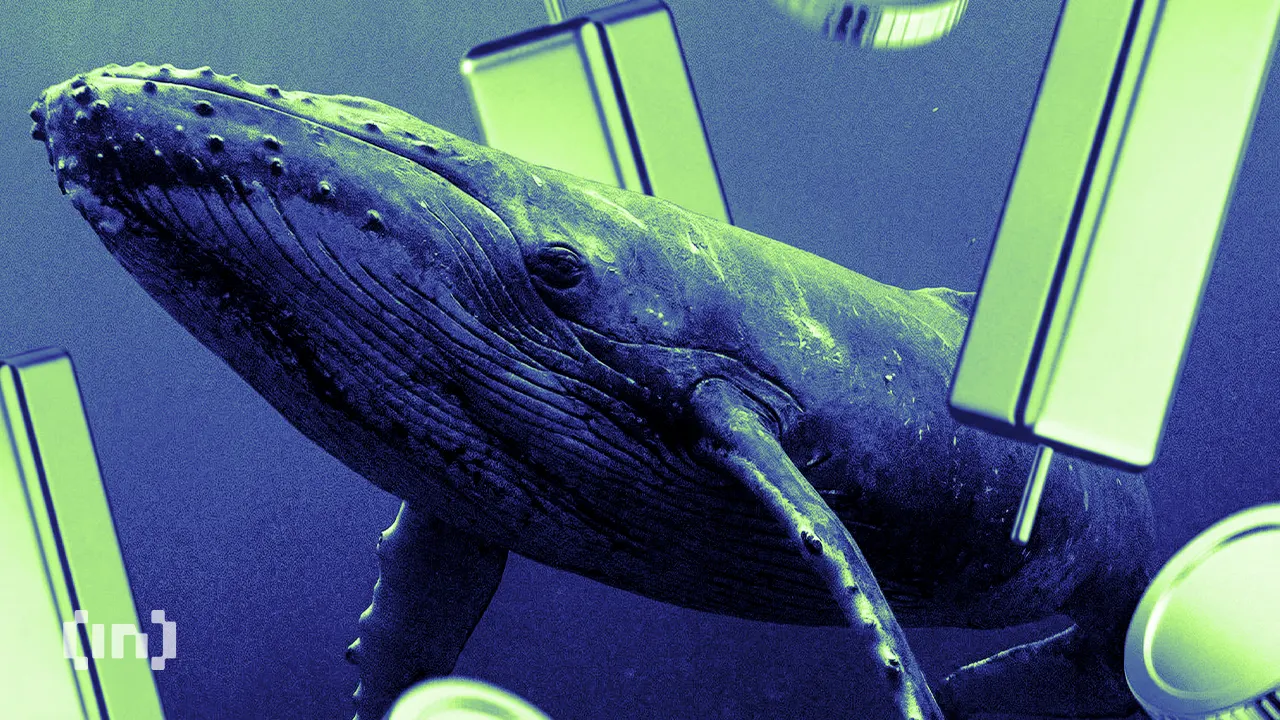 3 Coins Crypto Whales are Buying For October 2026