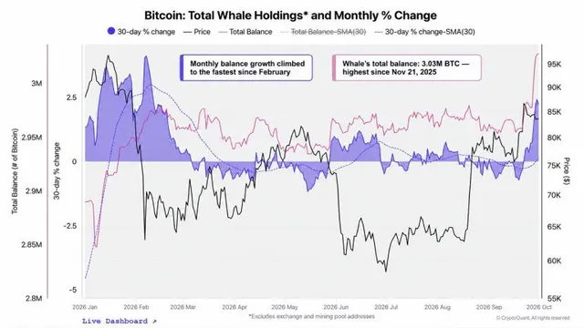Cryptoquant Says Bitcoin Whales Are Back as a Mystery Buyer Grabs $97M
