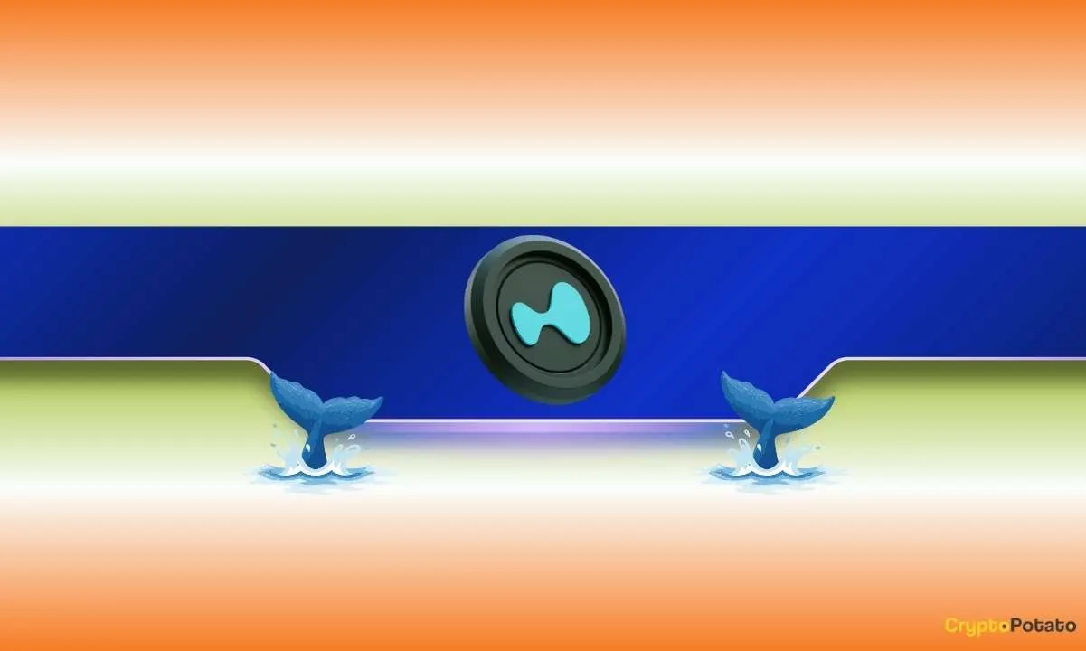 Hyperliquid (HYPE) Drops 5% – Could Whales Trigger an Even Bigger Sell-Off?