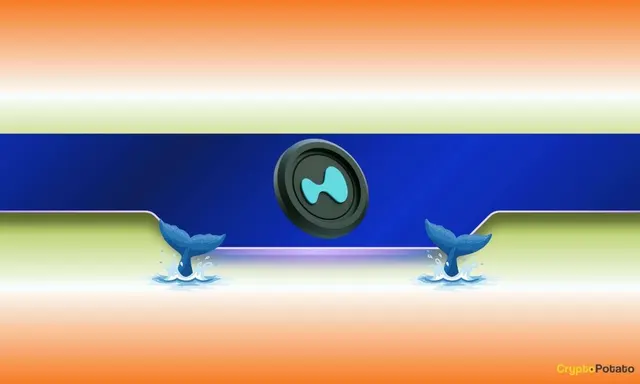 Hyperliquid (HYPE) Drops 5% – Could Whales Trigger an Even Bigger Sell-Off?
