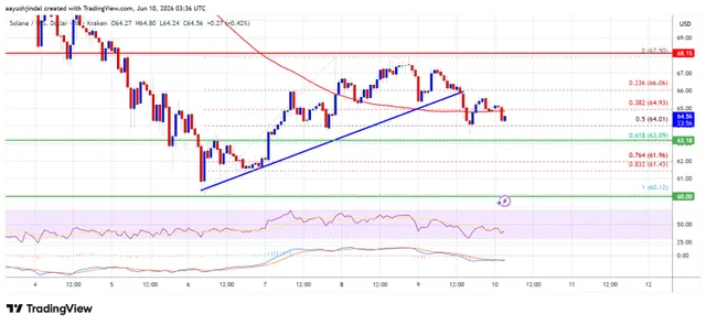 DeFi Development Corp Adds 47,706 SOL As Treasury Passes 2.5M Tokens