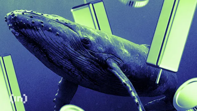 The Whale Behind $29.75 Million in Wins Just Went Long on Ethereum