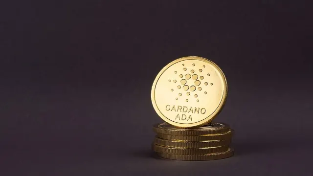 ADA Price Surges 11%:  Why is Cardano Pumping As DEX Activity Falls?