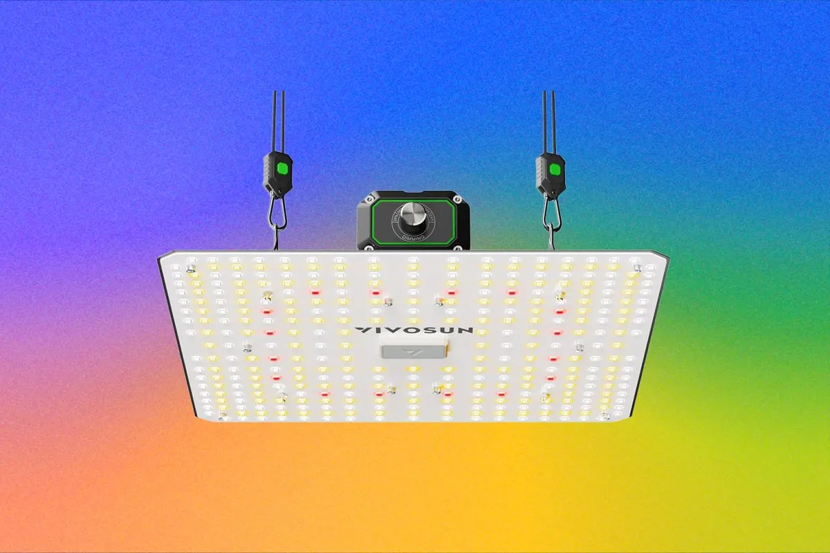 The Best LED Grow Lights for Houseplants This Winter (2026)