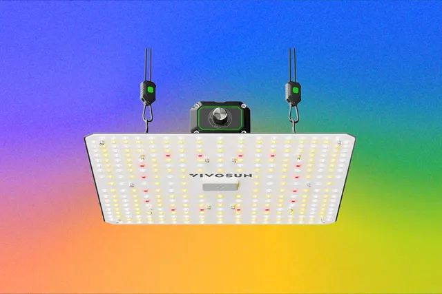The Best LED Grow Lights for Houseplants This Winter (2026)