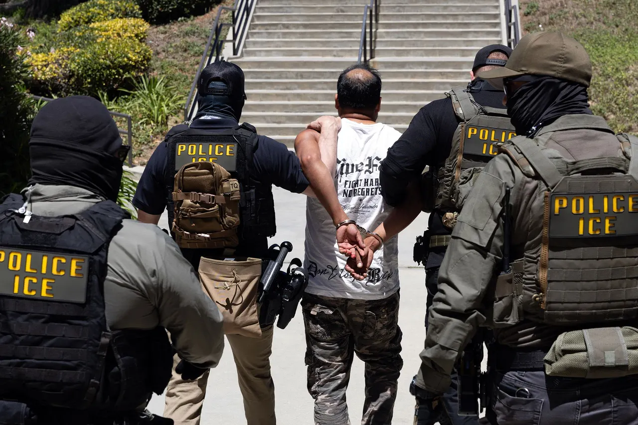 ICE Emails Discuss Using Palantir-Supported Tool to Investigate Voter Fraud