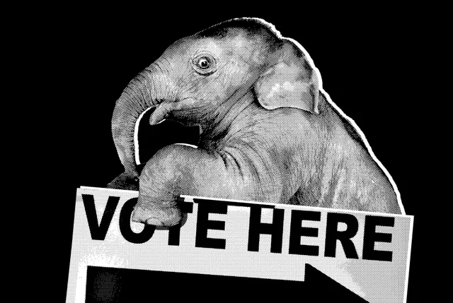 The White House Is Starting to Panic Over the Midterms