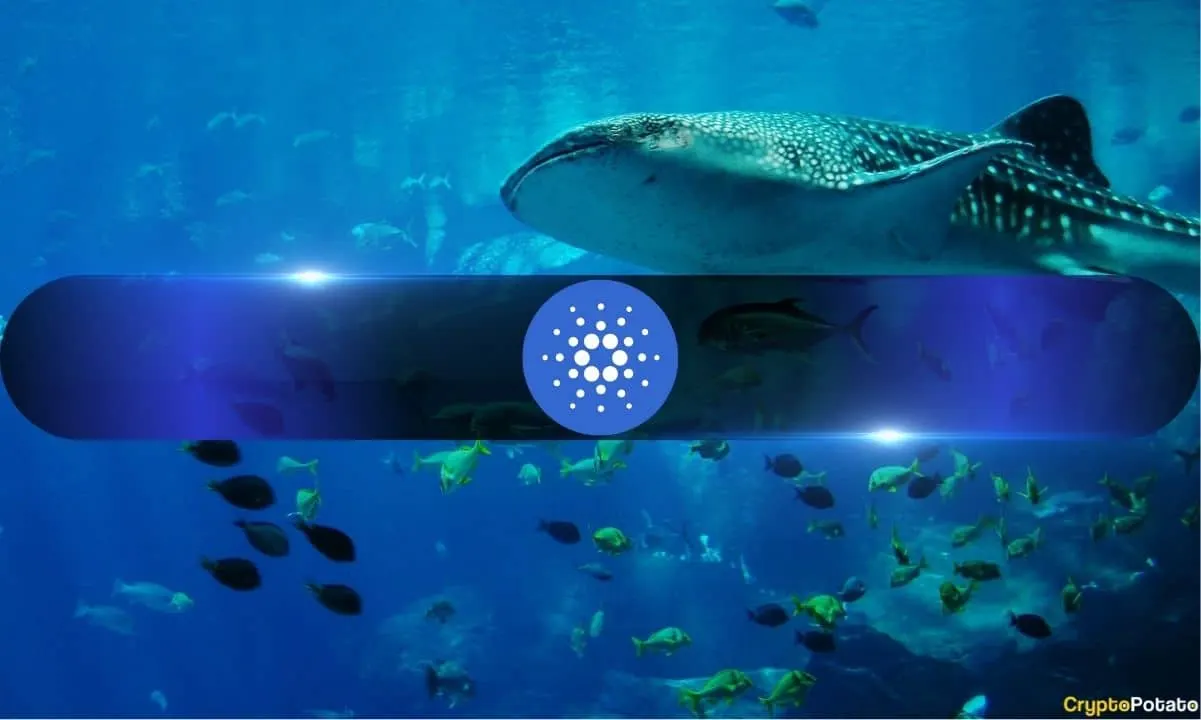 Cardano Under Pressure: Falling Network Activity Adds to ADA Selling Concerns