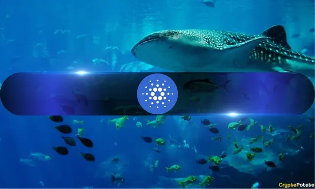 Cardano Under Pressure: Falling Network Activity Adds to ADA Selling Concerns