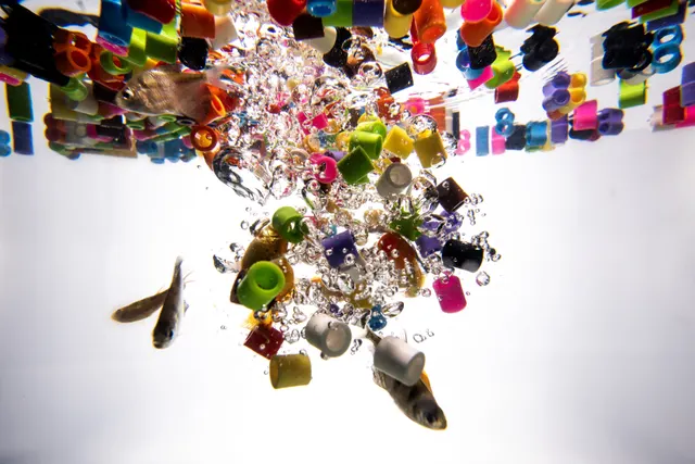 Microplastics React With Water, a New Study Says. That’s a Problem for Biology