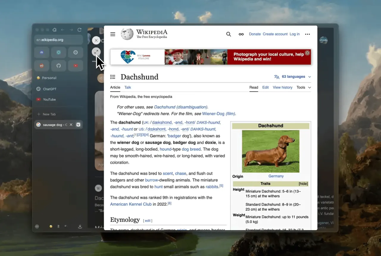 Zen Browser is the Arc replacement I was looking for
