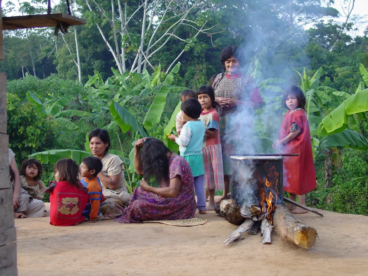Gut microbes followed migrating humans across continents, new study suggests