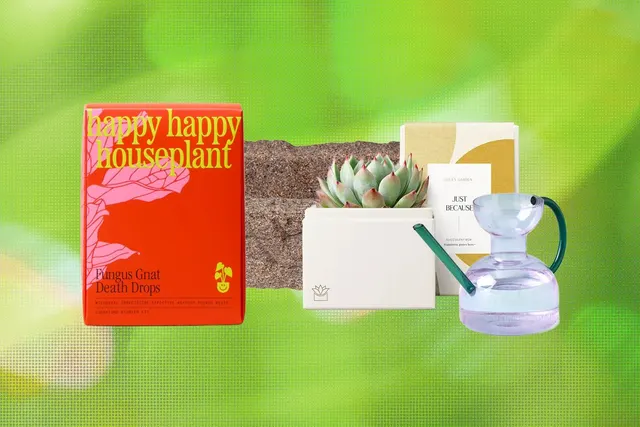19 Best Gifts for Plant Lovers and Gardeners (2026)
