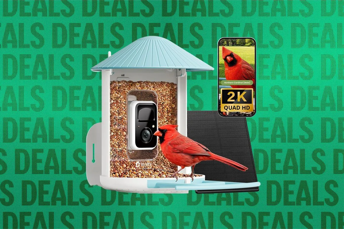 Best Early Black Friday Smart Bird Feeder Deals (2026)