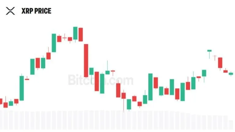 Evernorth Seeks to Register 5.2M Shares as It Plans More XRP Purchases