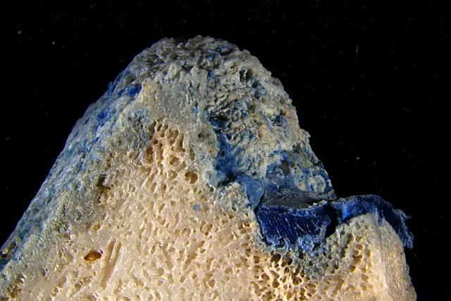 Plastic Is Melting Onto Corals