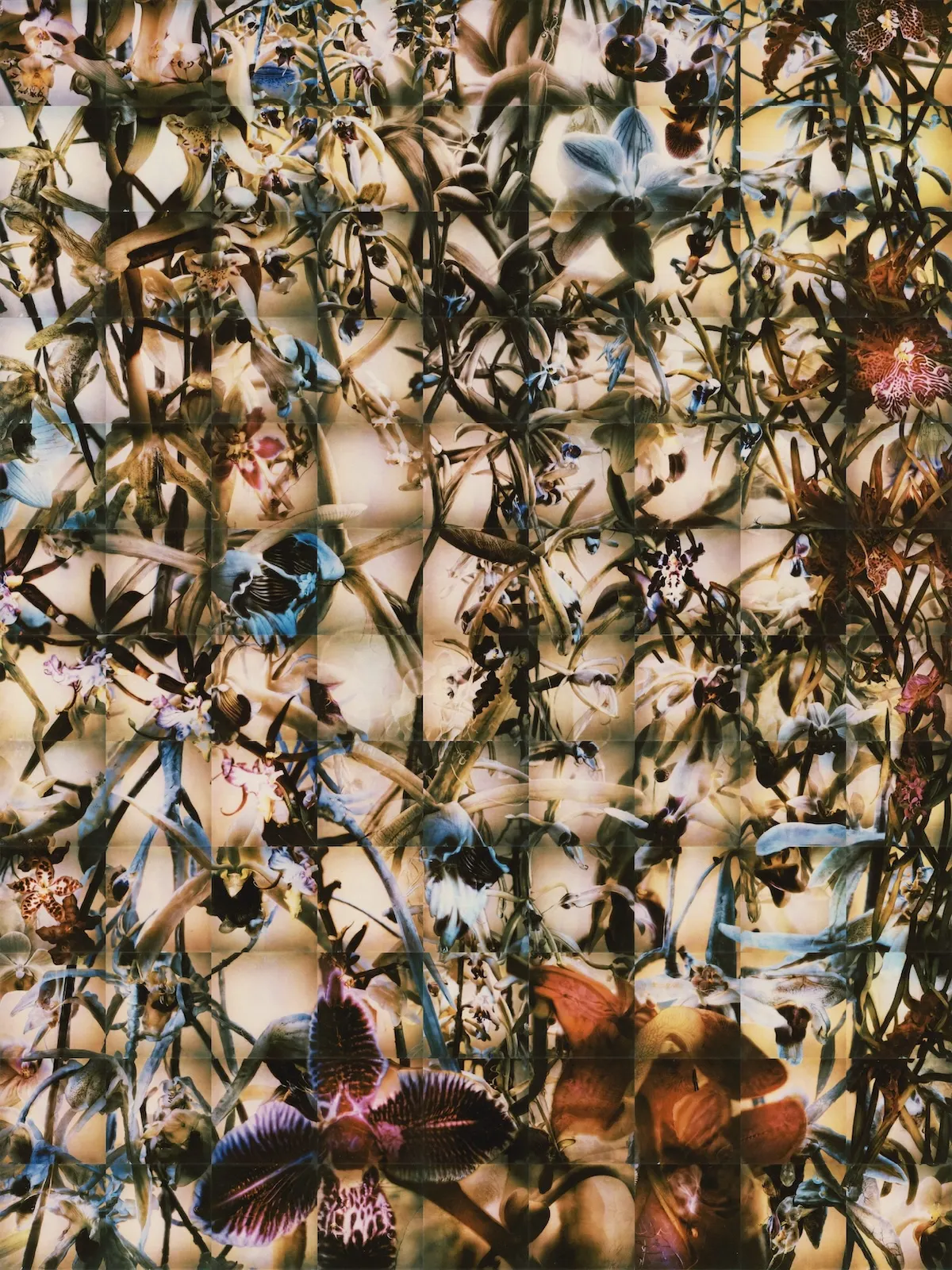 Anna Ridler & Sofia Crespo Win Top Honor in ABS Digital Art Prize